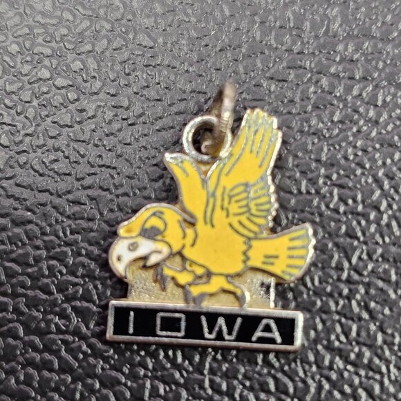 Iowa Hawk Hawkeye Necklace Pendant Bracelet Charm Lindor Sterling - Picture 1 of 4